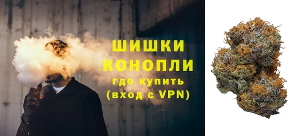 ешки Горняк