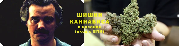 ешки Горняк